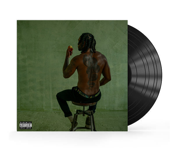 Vinyls "My Mistakes Made Me Great"